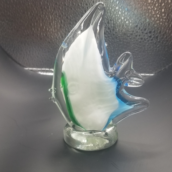Glass fish - Picture 15 of 16